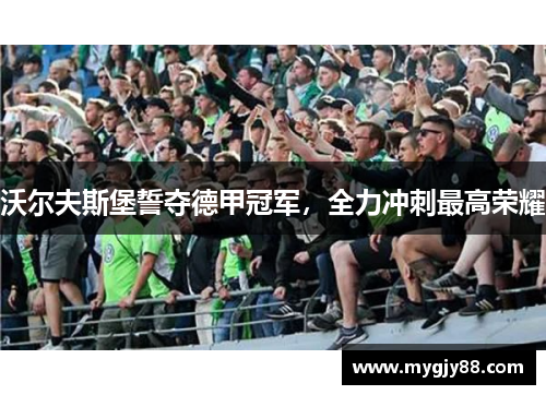 沃尔夫斯堡誓夺德甲冠军，全力冲刺最高荣耀